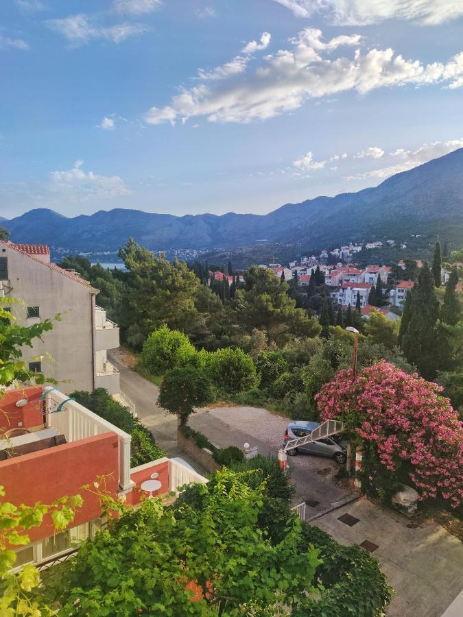 Villa Kipre Cavtat Exteriér fotografie