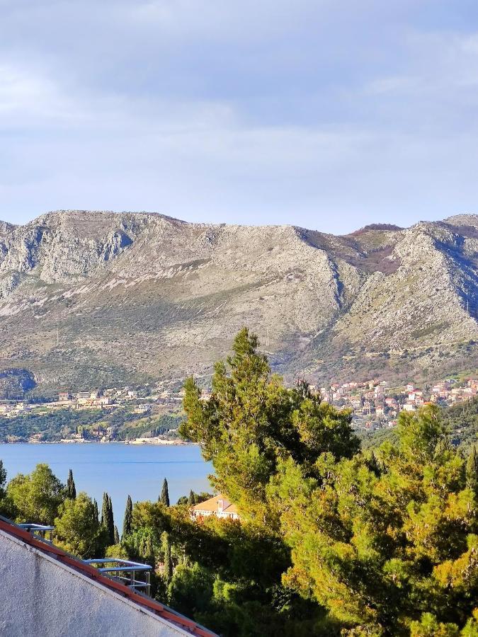 Villa Kipre Cavtat Exteriér fotografie